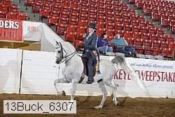 13buck_6307 proof