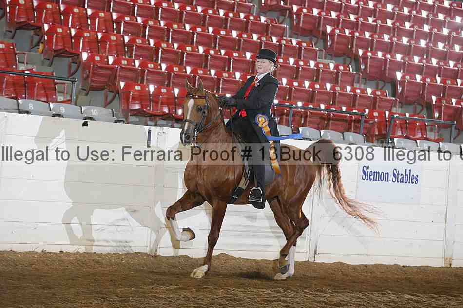 Proof 13buck_6308