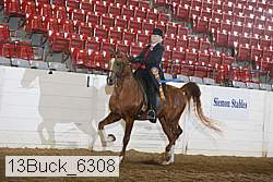 13buck_6308 proof