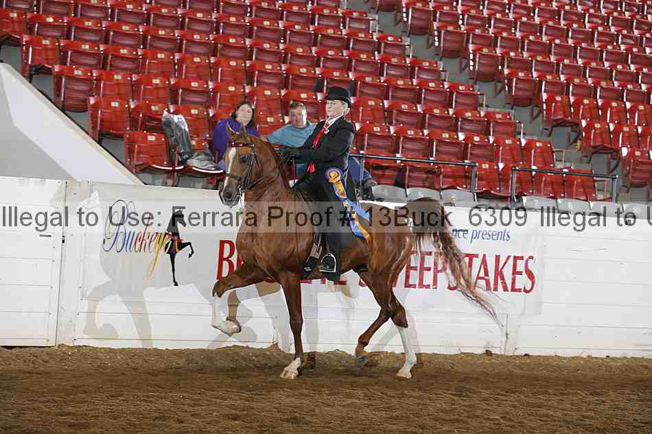 Proof 13buck_6309