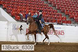 13buck_6309 proof