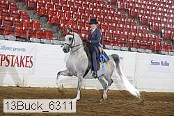 13buck_6311 proof