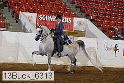 13buck_6313 proof