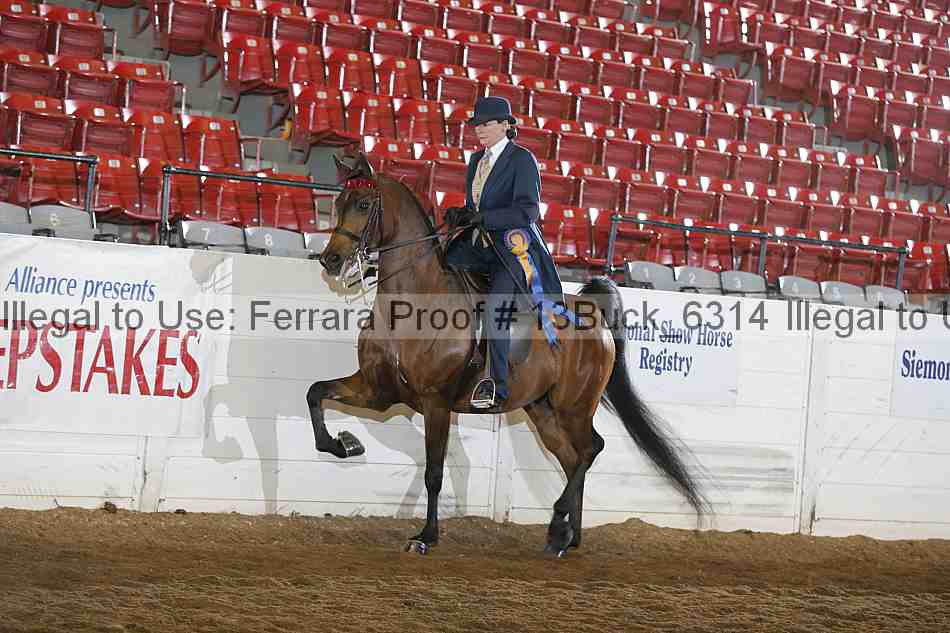 Proof 13buck_6314