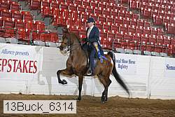 13buck_6314 proof