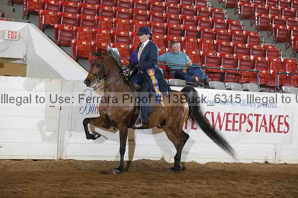 Proof 13buck_6315