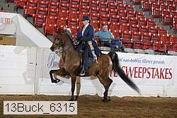 13buck_6315 proof