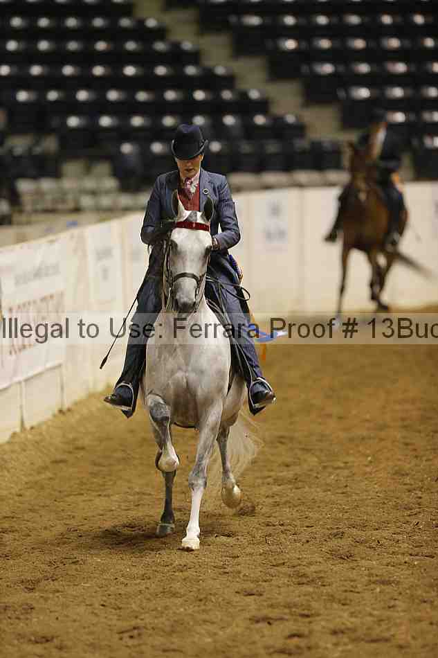 Proof 13buck_6316