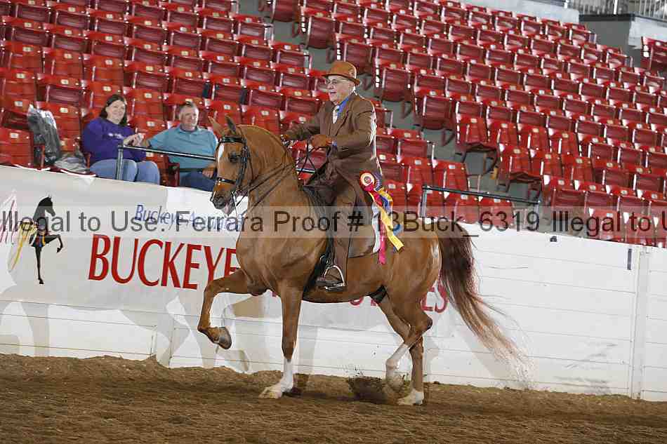 Proof 13buck_6319