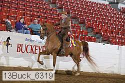 13buck_6319 proof