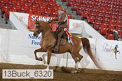 13buck_6320 proof