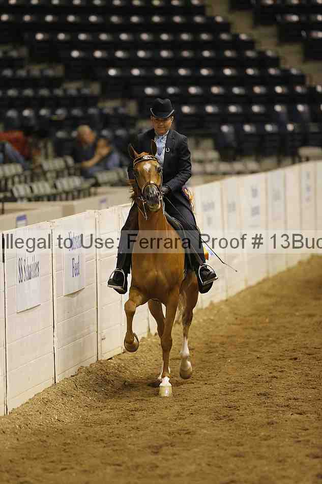 Proof 13buck_6321