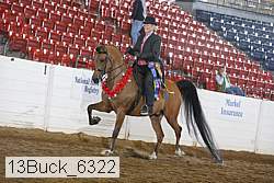13buck_6322 proof