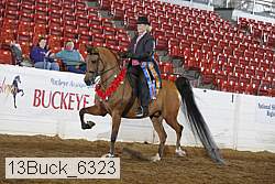 13buck_6323 proof