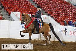 13buck_6325 proof