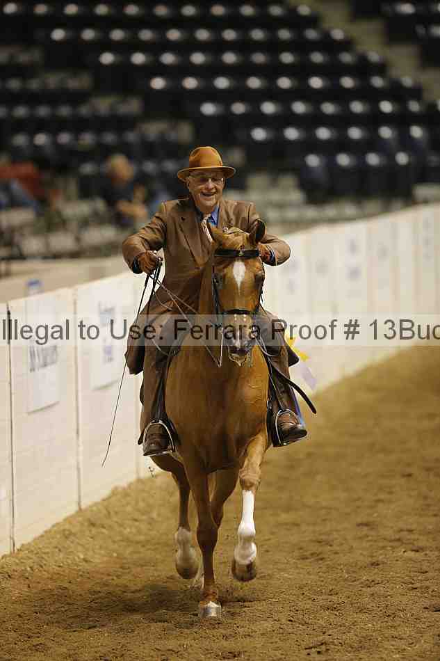 Proof 13buck_6327