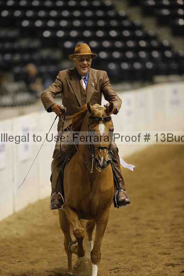 Proof 13buck_6329