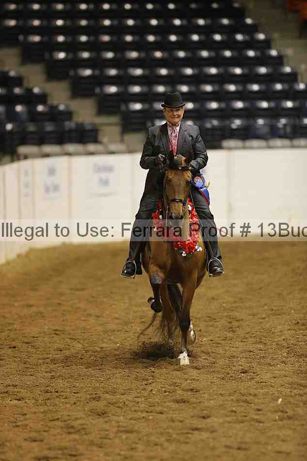 Proof 13buck_6331