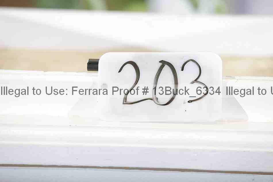 Proof 13buck_6334