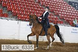 13buck_6335 proof