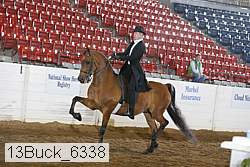 13buck_6338 proof