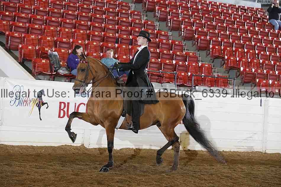 Proof 13buck_6339
