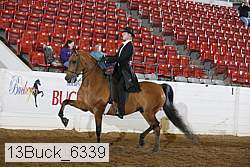 13buck_6339 proof
