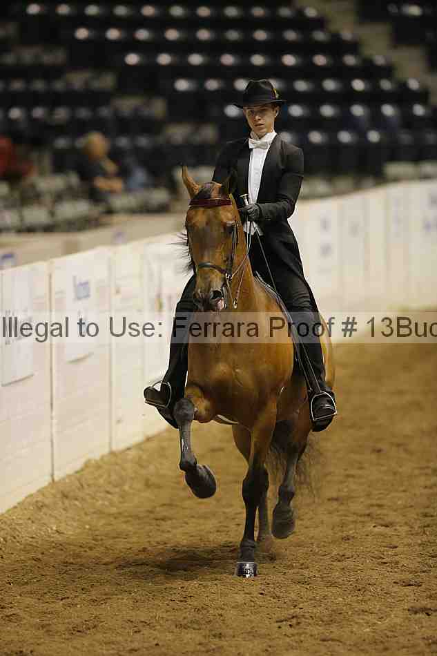 Proof 13buck_6340
