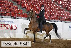 13buck_6341 proof