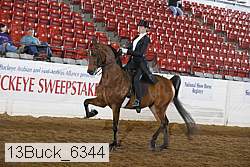 13buck_6344 proof