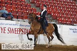 13buck_6345 proof