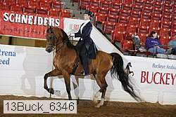 13buck_6346 proof