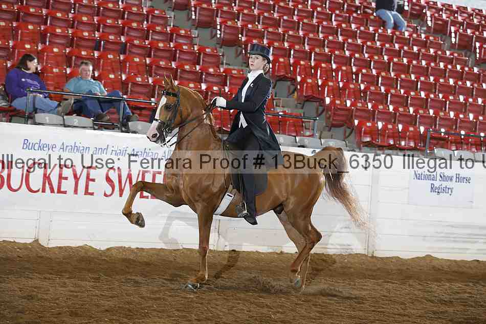 Proof 13buck_6350