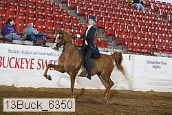 13buck_6350 proof