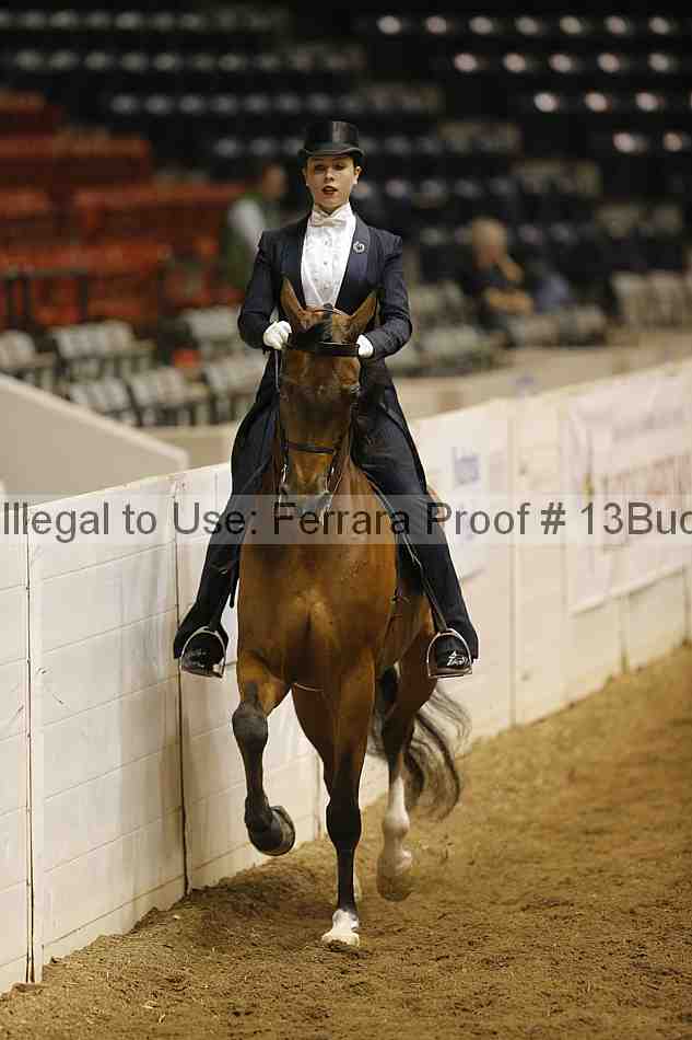 Proof 13buck_6351