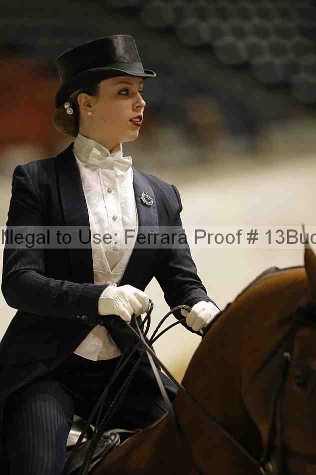 Proof 13buck_6354
