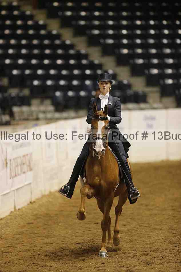 Proof 13buck_6355