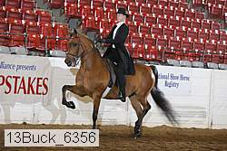 13buck_6356 proof
