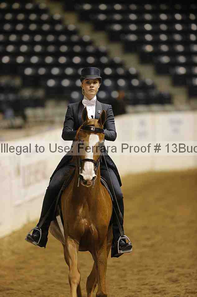 Proof 13buck_6357
