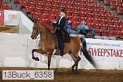 13buck_6358 proof