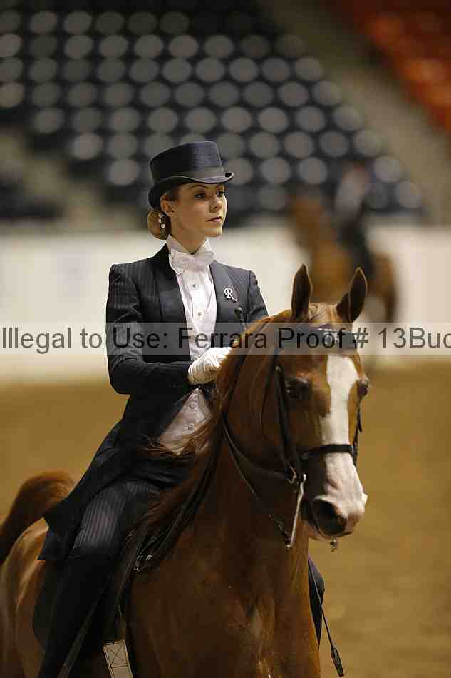Proof 13buck_6359