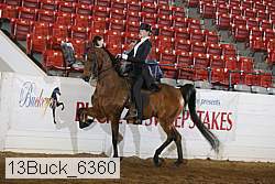 13buck_6360 proof