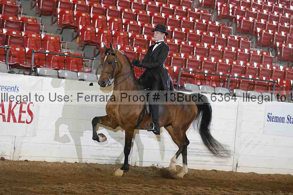 Proof 13buck_6364