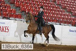 13buck_6364 proof
