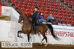 13buck_6365 proof