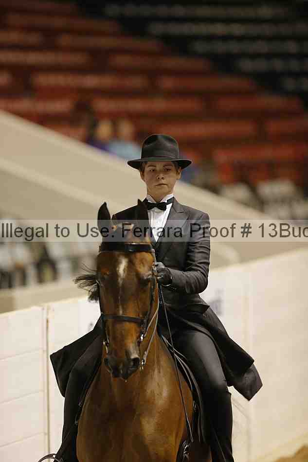 Proof 13buck_6370