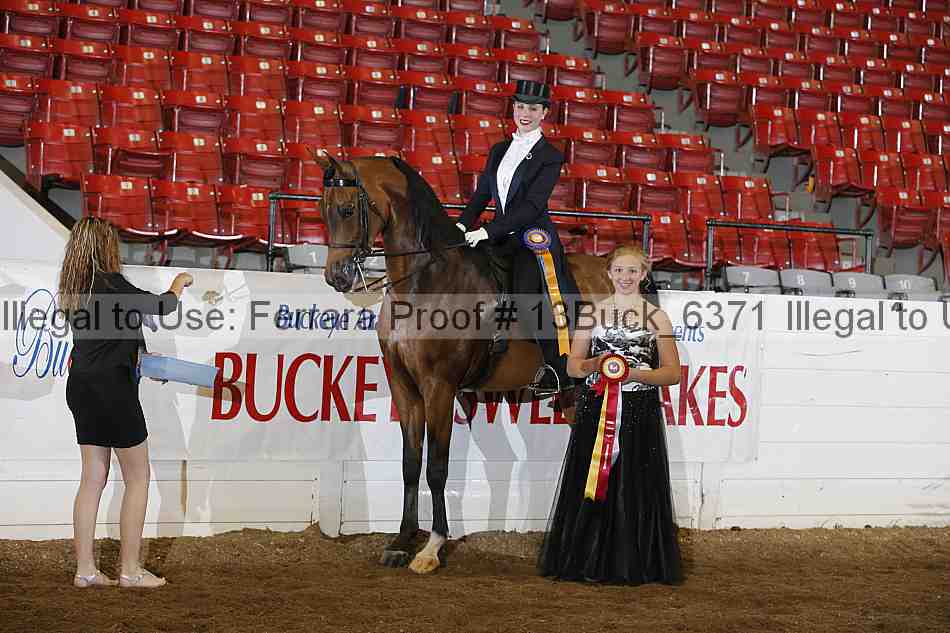 Proof 13buck_6371