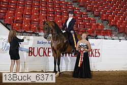 13buck_6371 proof