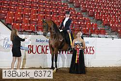 13buck_6372 proof