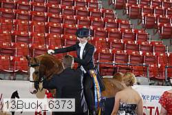 13buck_6373 proof